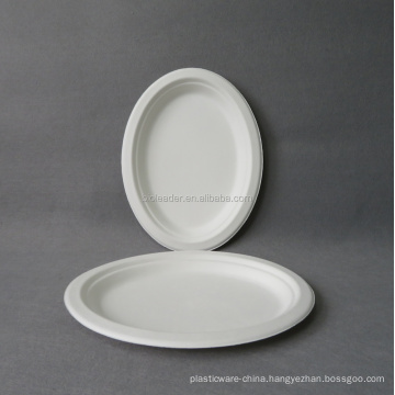 Disposable Bagasse Wholesale White Dinner Plates